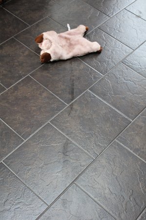 New Camera Dec2010 073